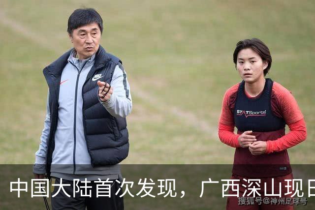 中国大陆首次发现，广西深山现"日本独有兰"，来源至今难解