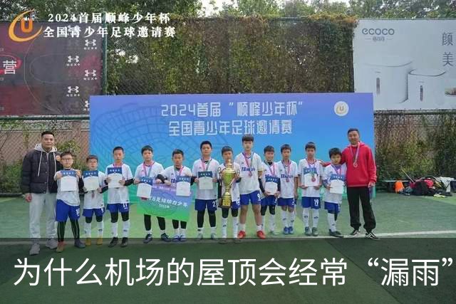 为什么机场的屋顶会经常“漏雨”？用“苔藓”来接漏水也不过是“缓解下旅客心情”而已！