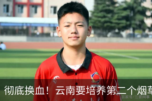 彻底换血！云南要培养第二个烟草产业，它够格接棒吗？