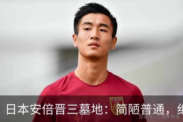 日本安倍晋三墓地：简陋普通，细看墓碑上的刻字，全部为中国汉字