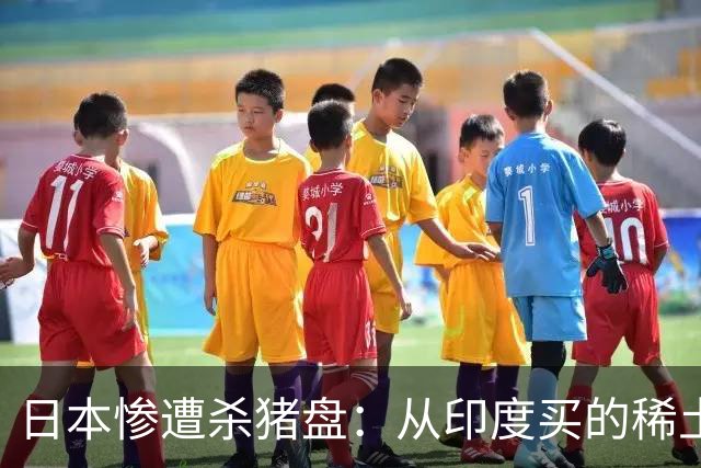 日本惨遭杀猪盘：从印度买的稀土都是中国货，这下血本无归了