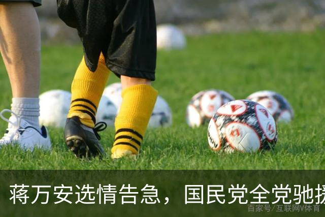 蒋万安选情告急，国民党全党驰援，这两蓝委加入竞总担任总干事